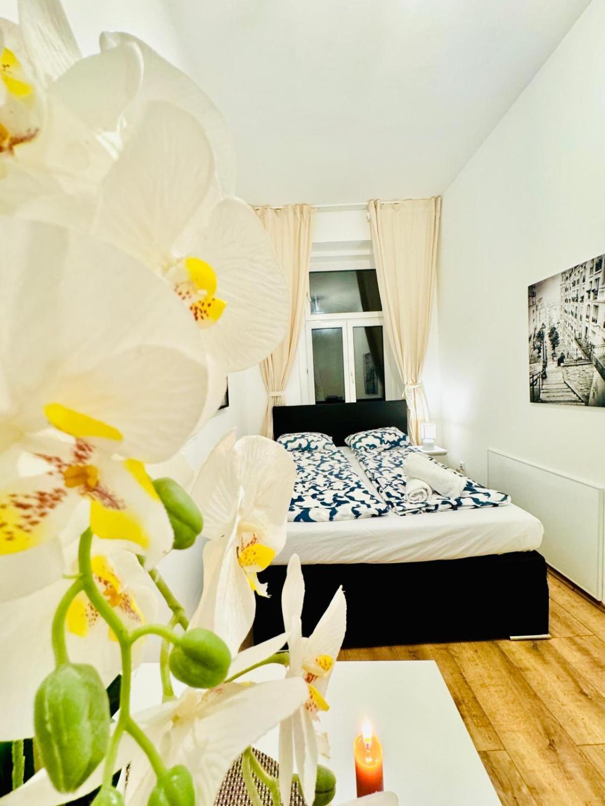 Apartment Charming 5br Shared Apt, Minutes From Atzgersdorf *