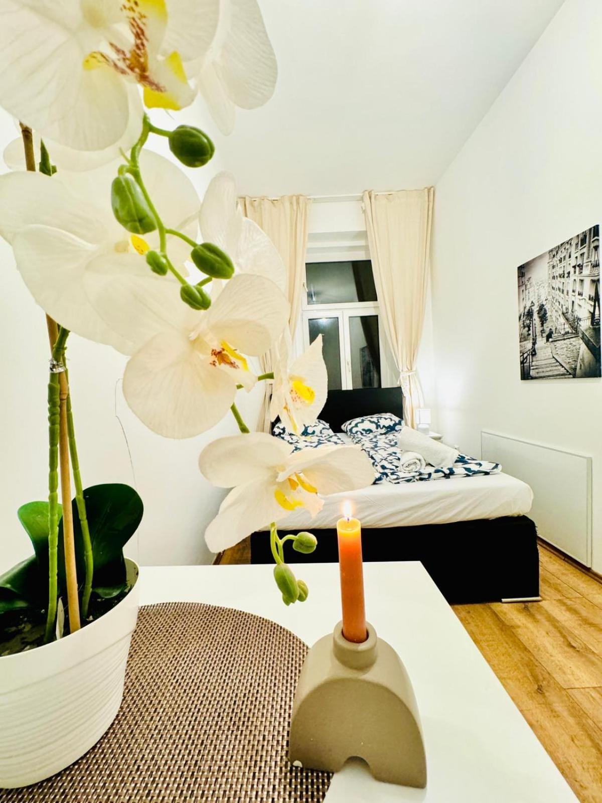 Apartment Charming 5br Shared Apt, Minutes From Atzgersdorf Vienna