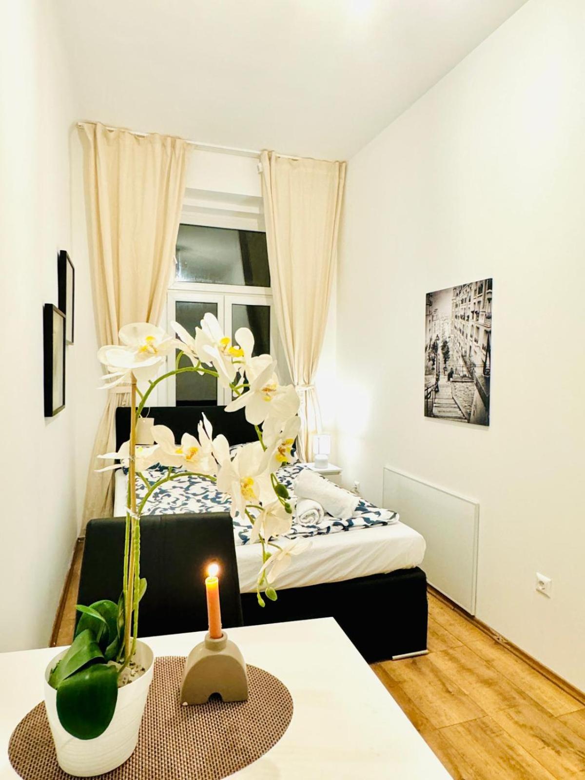 Charming 5br Shared Apt, Minutes From Atzgersdorf Apartment