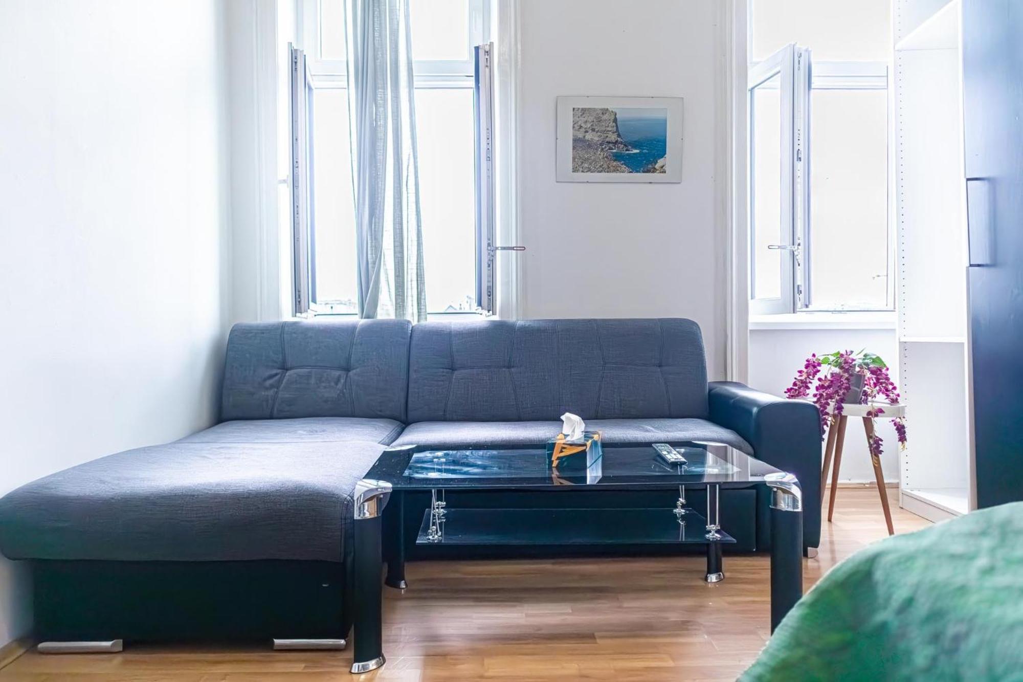 Homely Near Millenium Tower Apartment Vienna