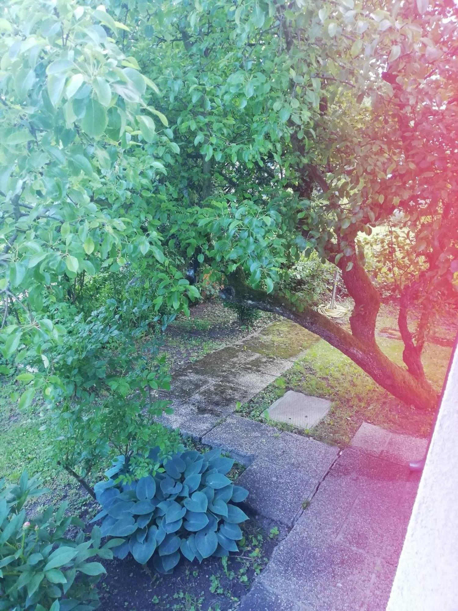 In House - Charming Retreat With Garden Metro Access Guest house Vienna