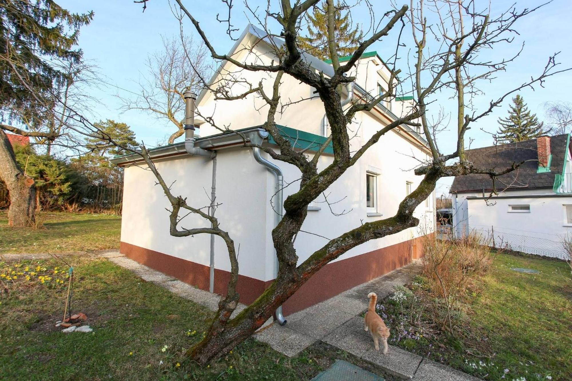 Guest house In House - Charming Retreat With Garden Metro Access *
