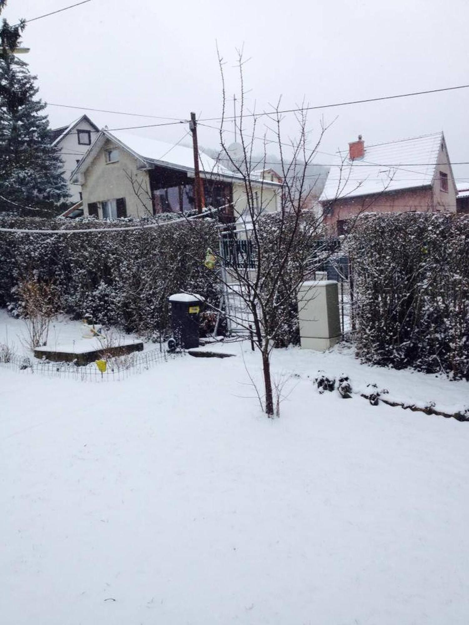 In House - Charming Retreat With Garden Metro Access Vienna