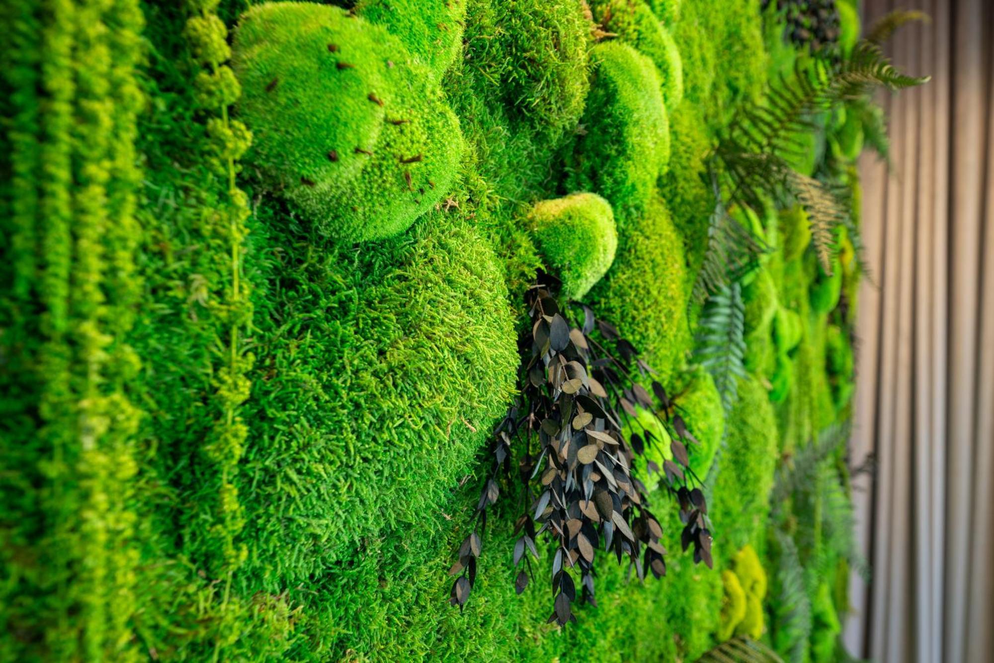 Somerset Schoenbrunn