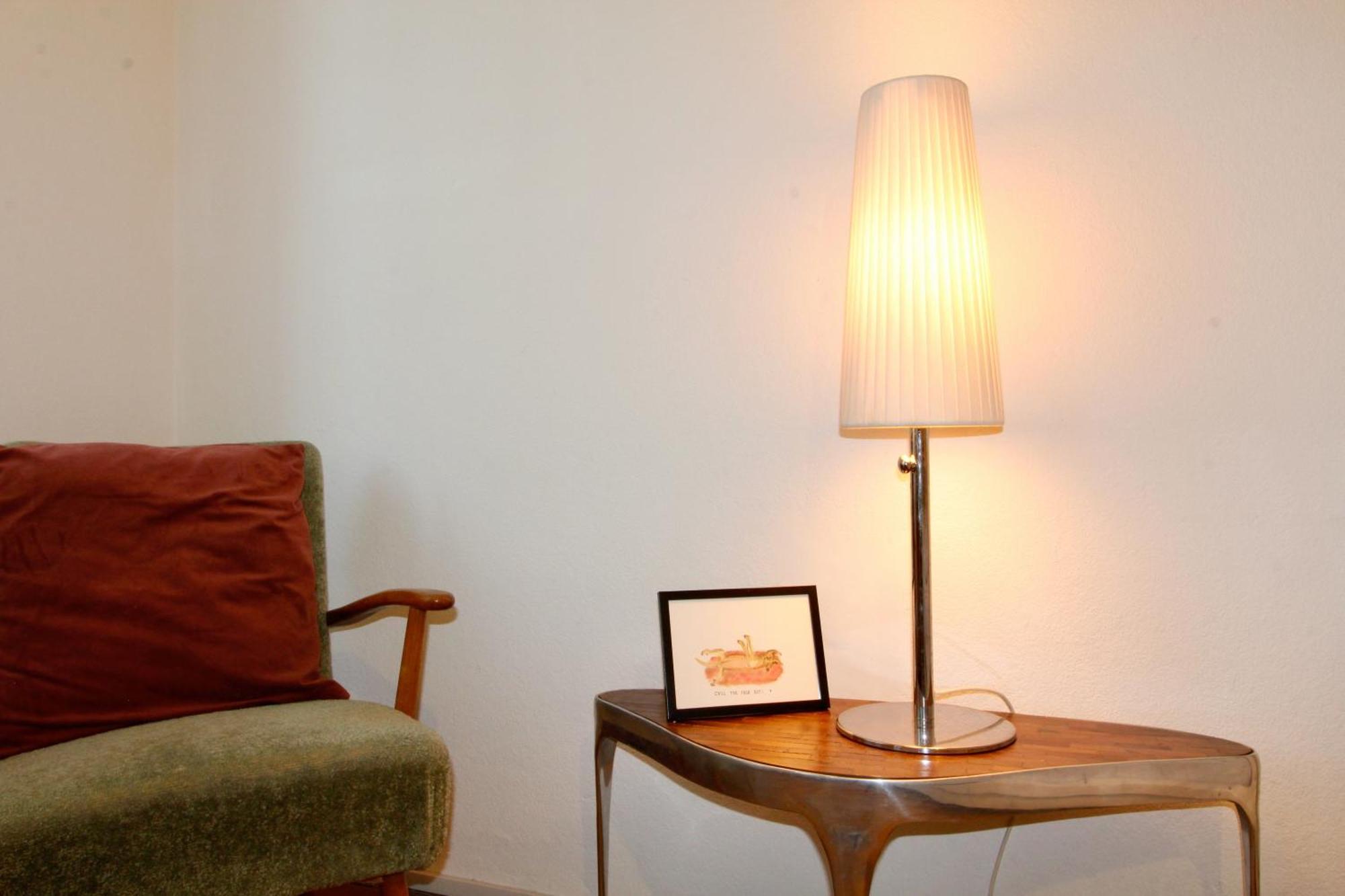Bright Elegant Flat In Center * Viena