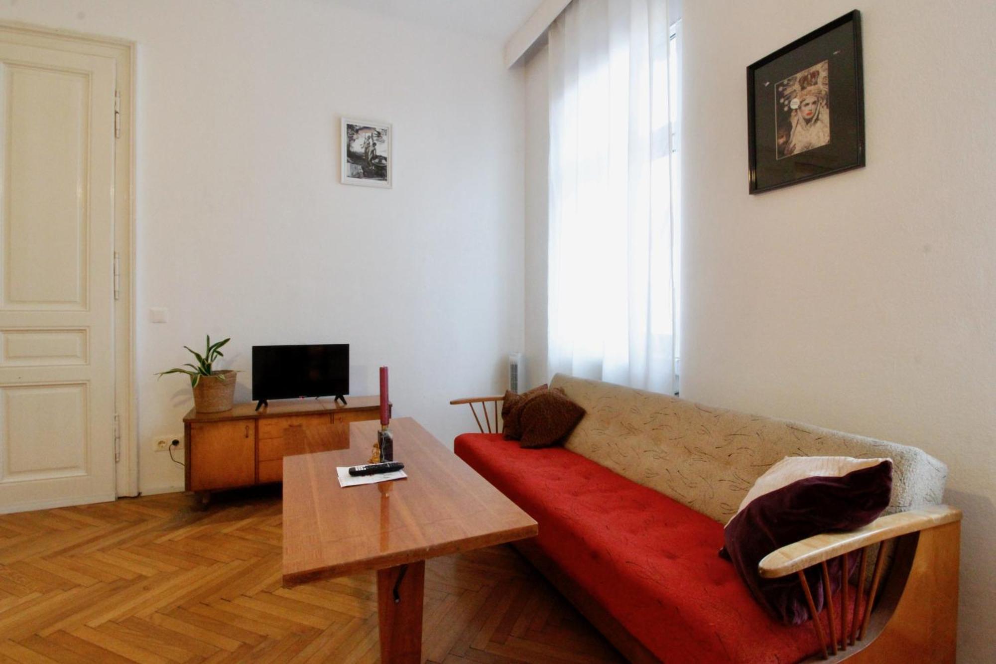 Bright Elegant Flat In Center Viena