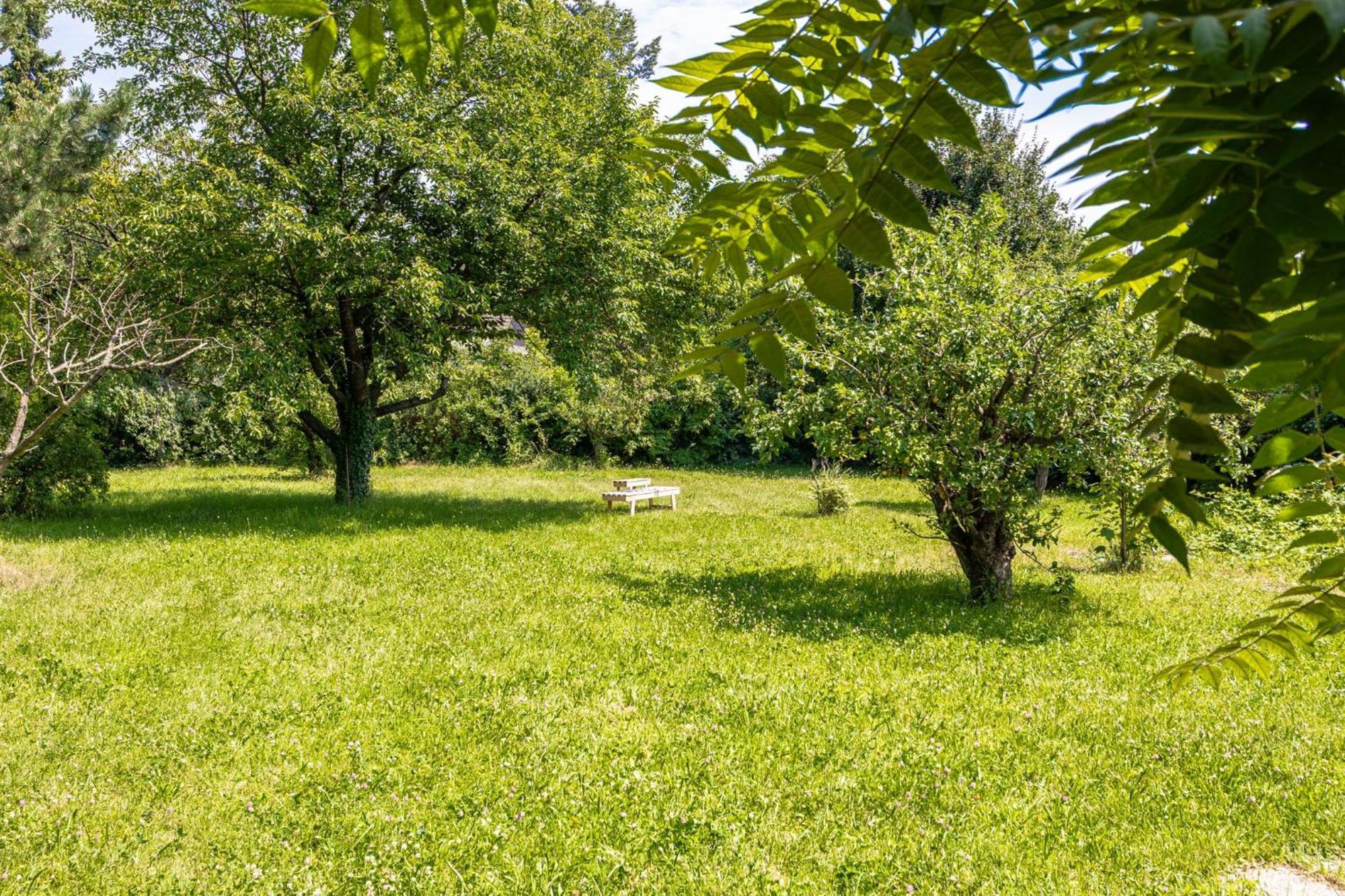 Apartment Comfy 3br With Garden, Up To 10 People Vienna
