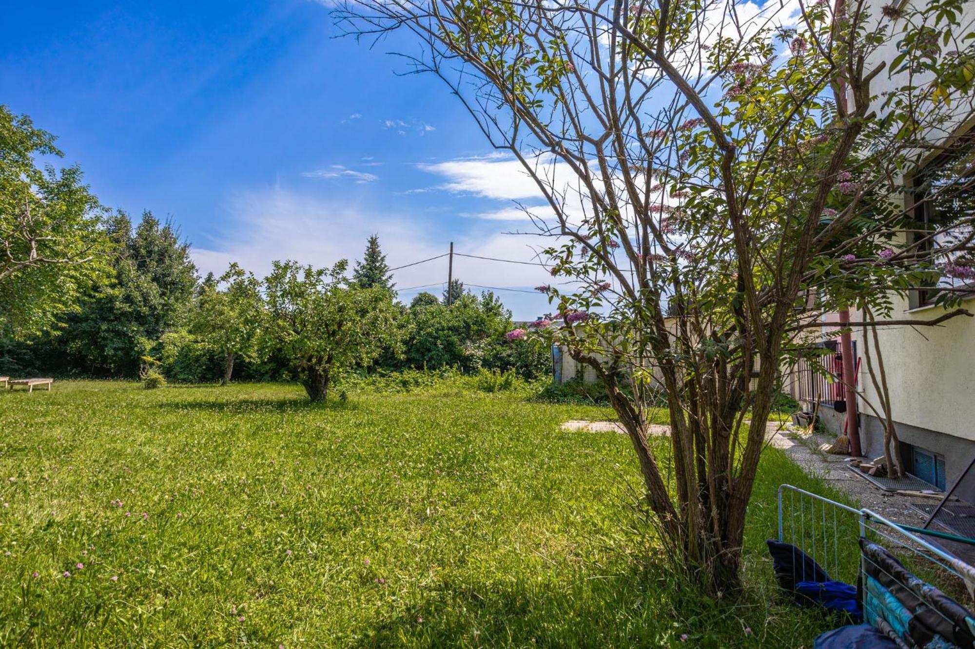 Comfy 3br With Garden, Up To 10 People *
