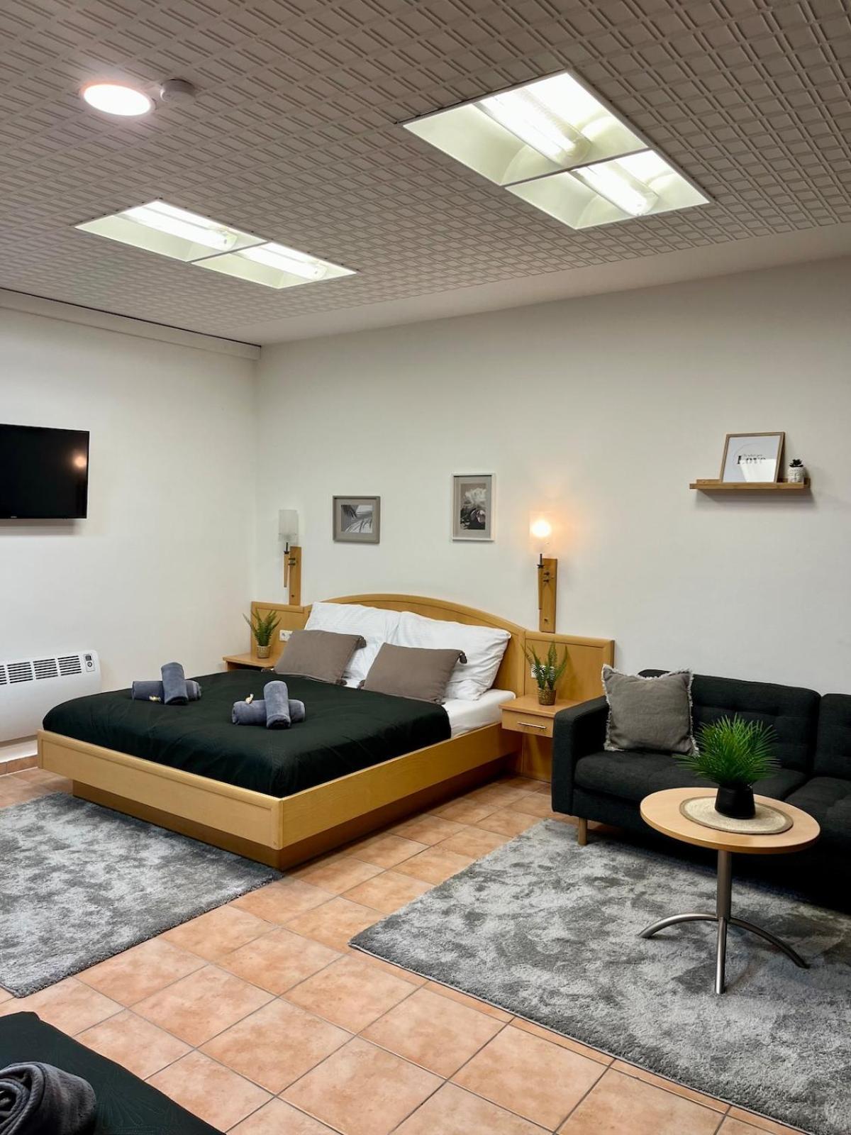 Spacious In Center Vienna