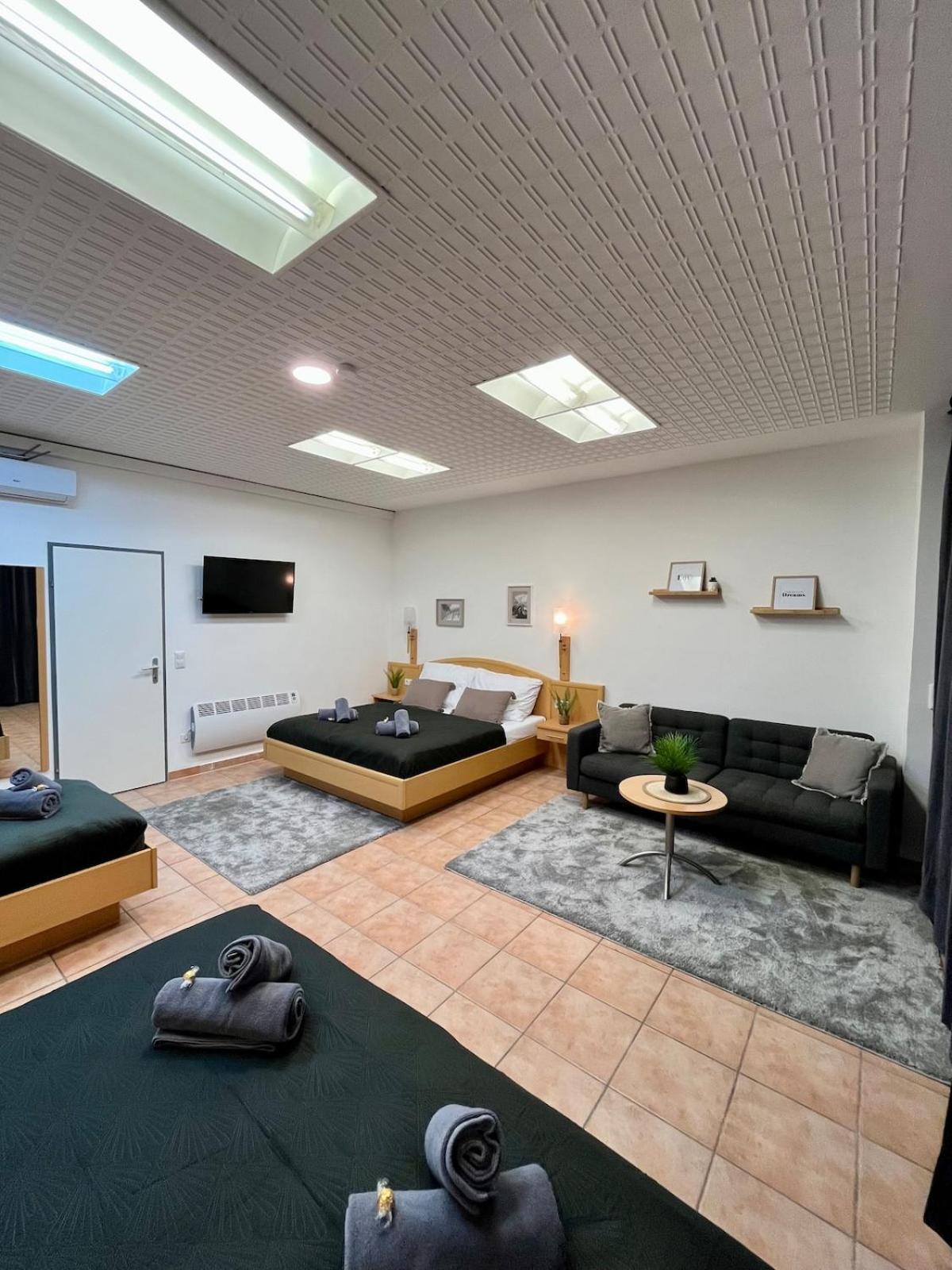 Spacious In Center Apartment Vienna