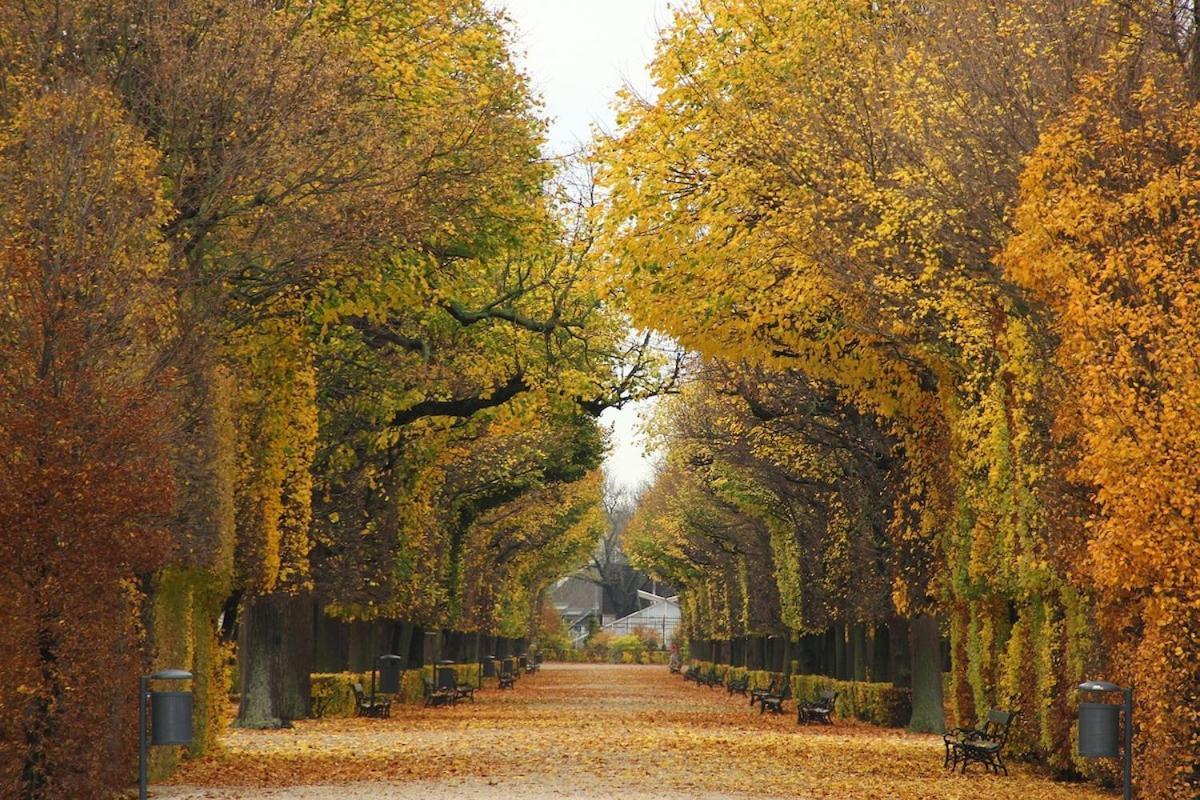 Majestic Vienna