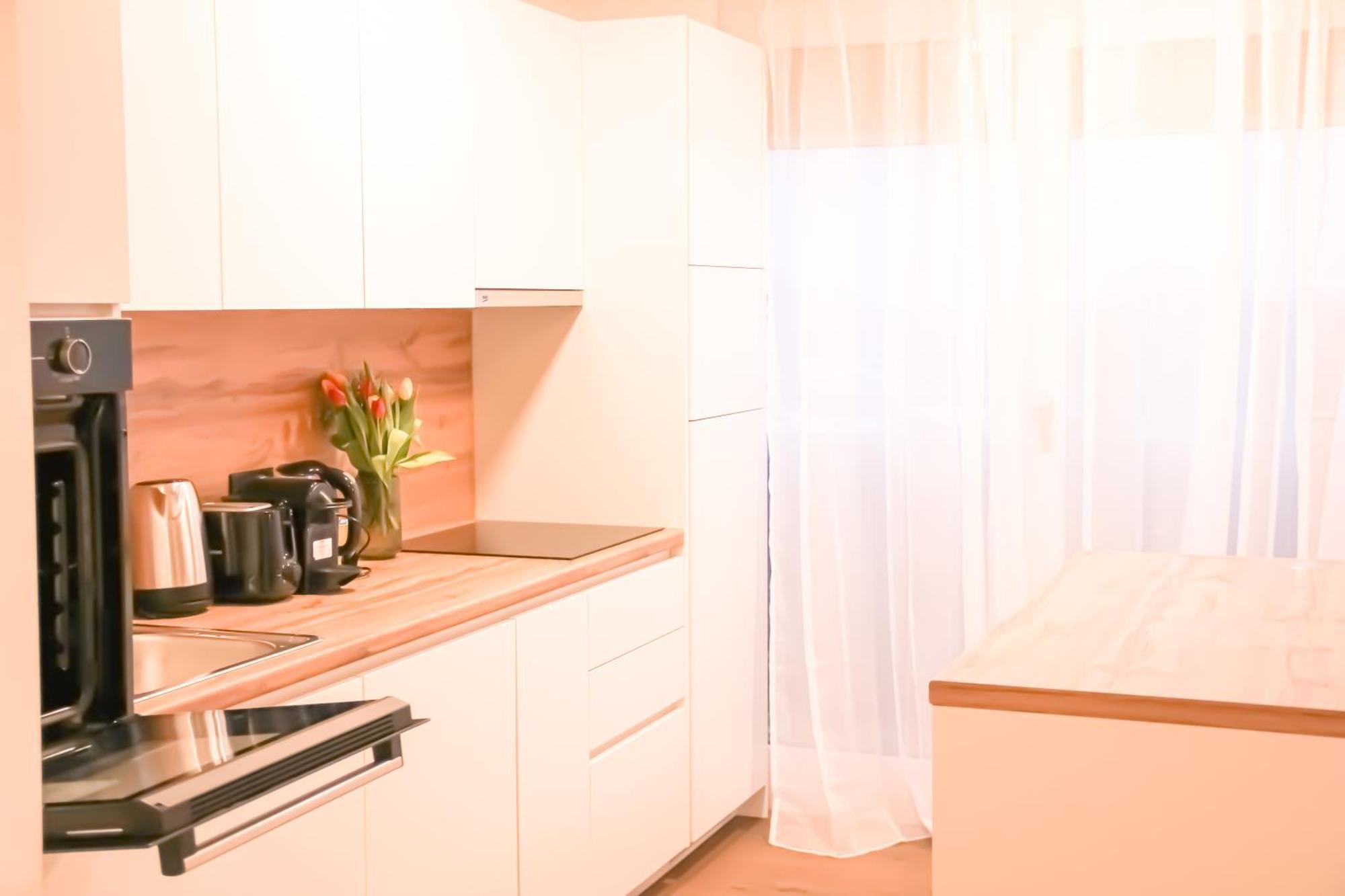 Modern Penthouse With Balcony & Free Parking Vienna