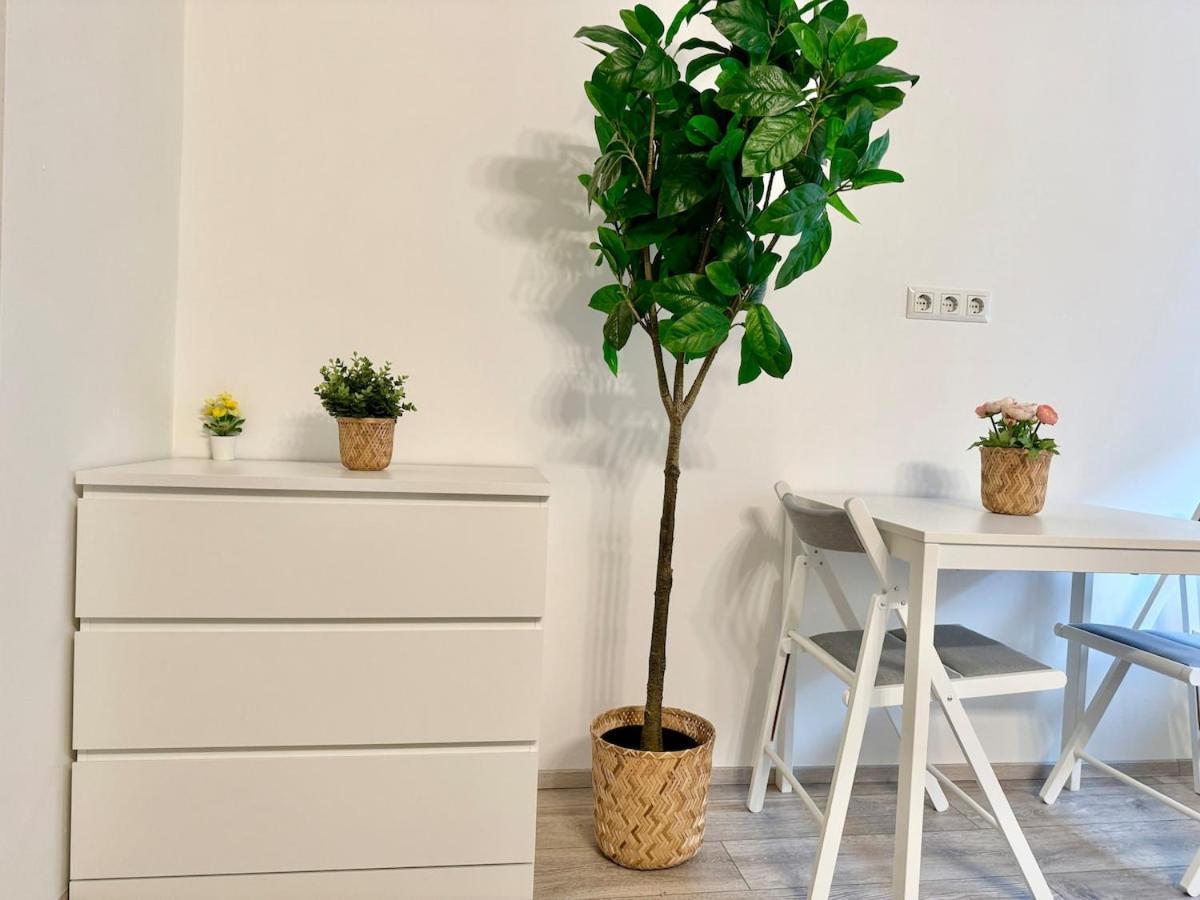Apartment Prime Near Schoenbrunn Castle Vienna