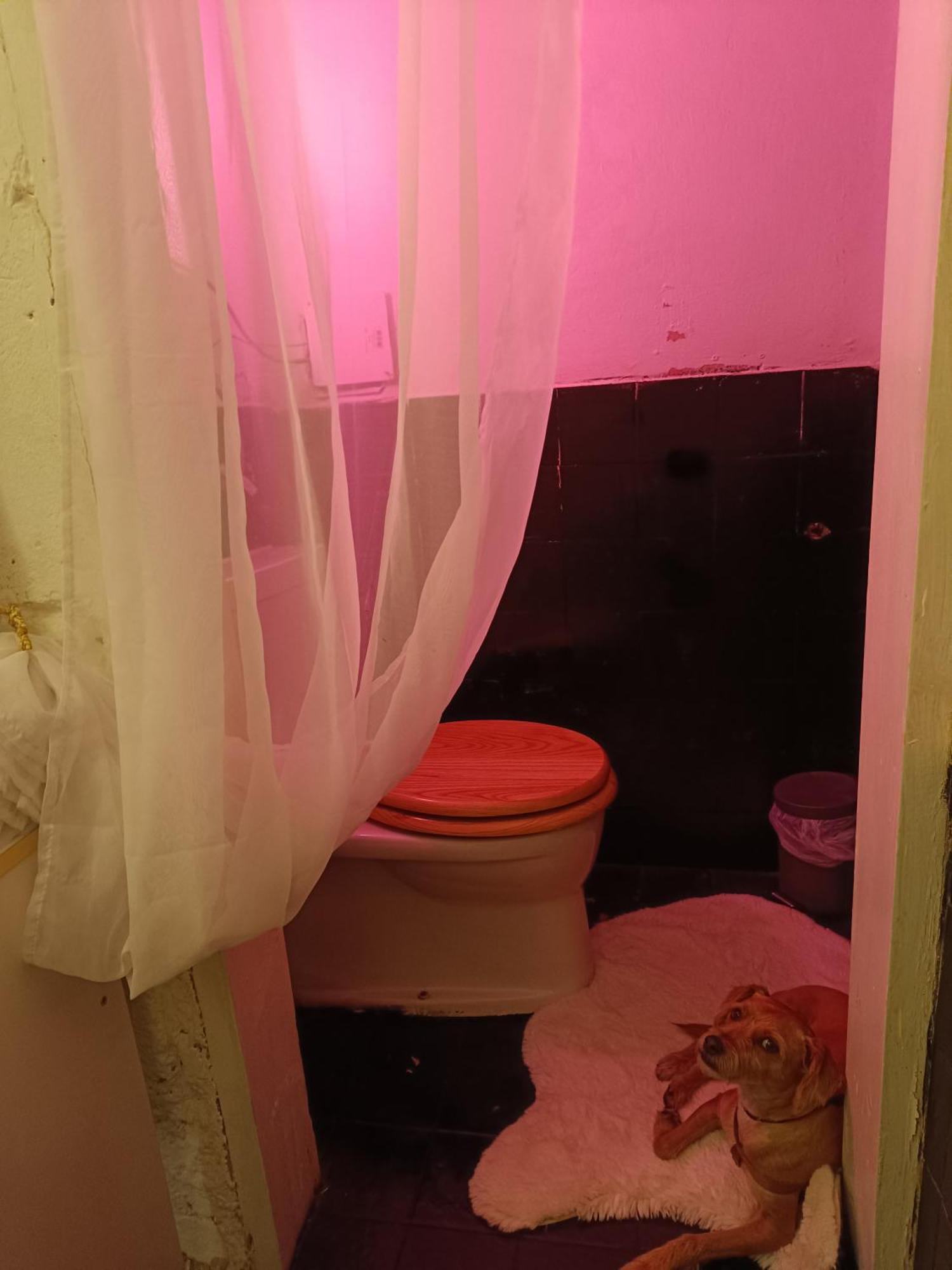 Apartment Atelier In Center, No Shower, Entire Place Vienna
