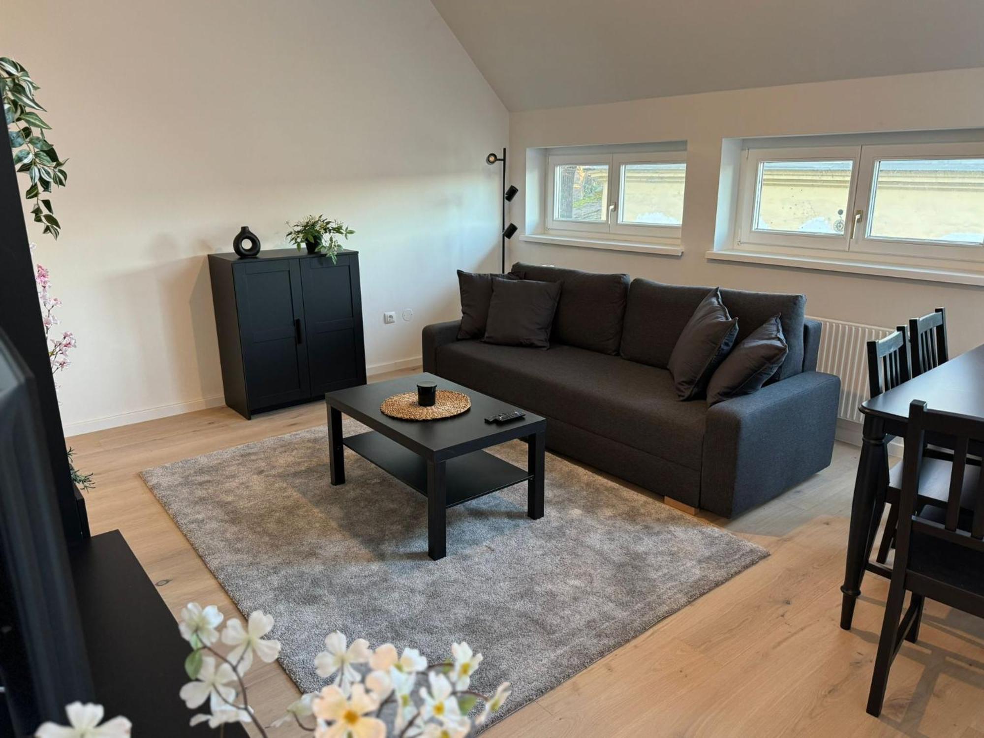 Train Station, Kahlenberg, Historic, Danube - Axara Housing Fhg 16 Apartment *