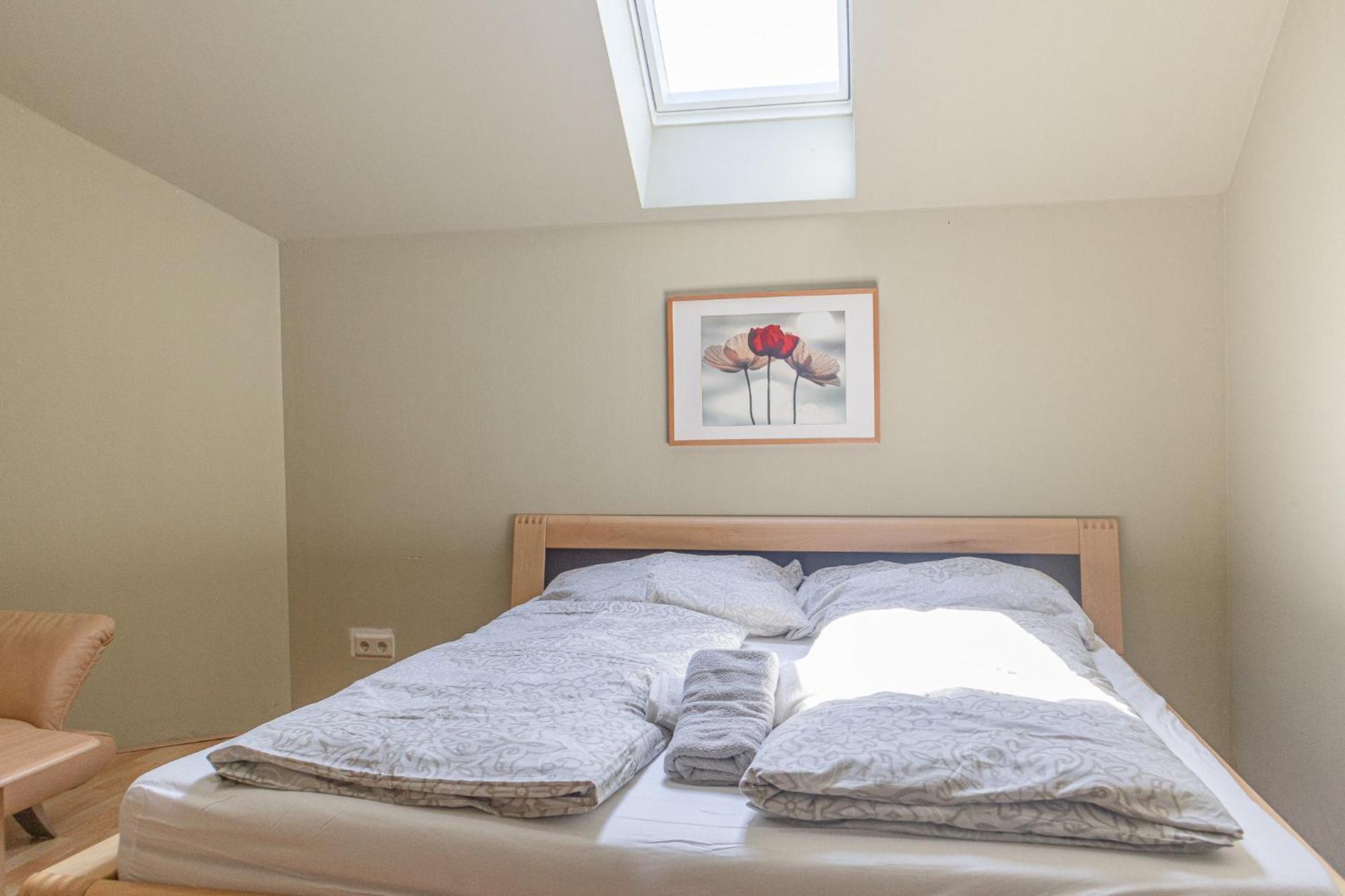 Exquisite In Shared With Garden & Parking Apartment
