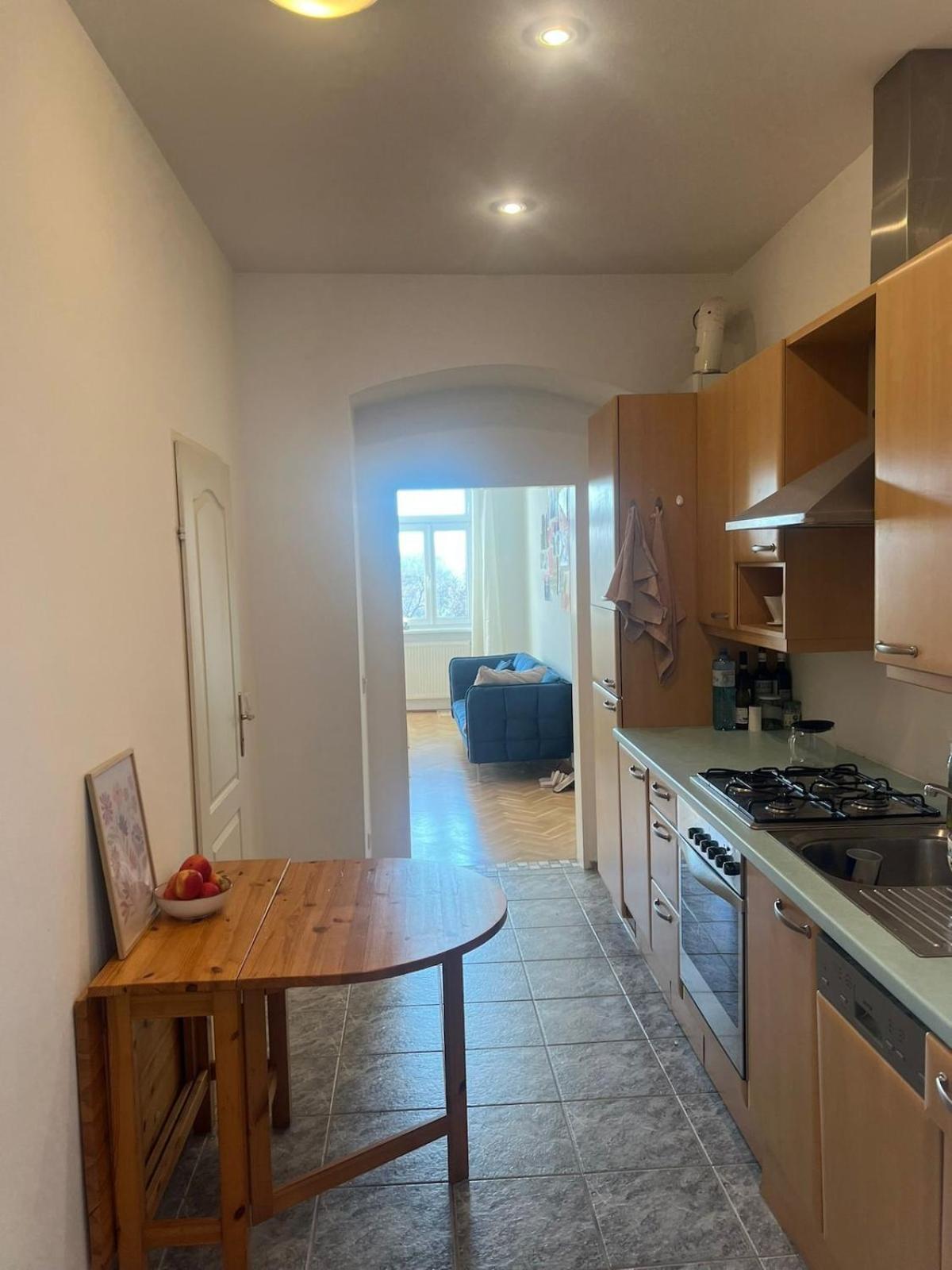 Beautiful Flat Overlooking A Great Park Apartment Vienna