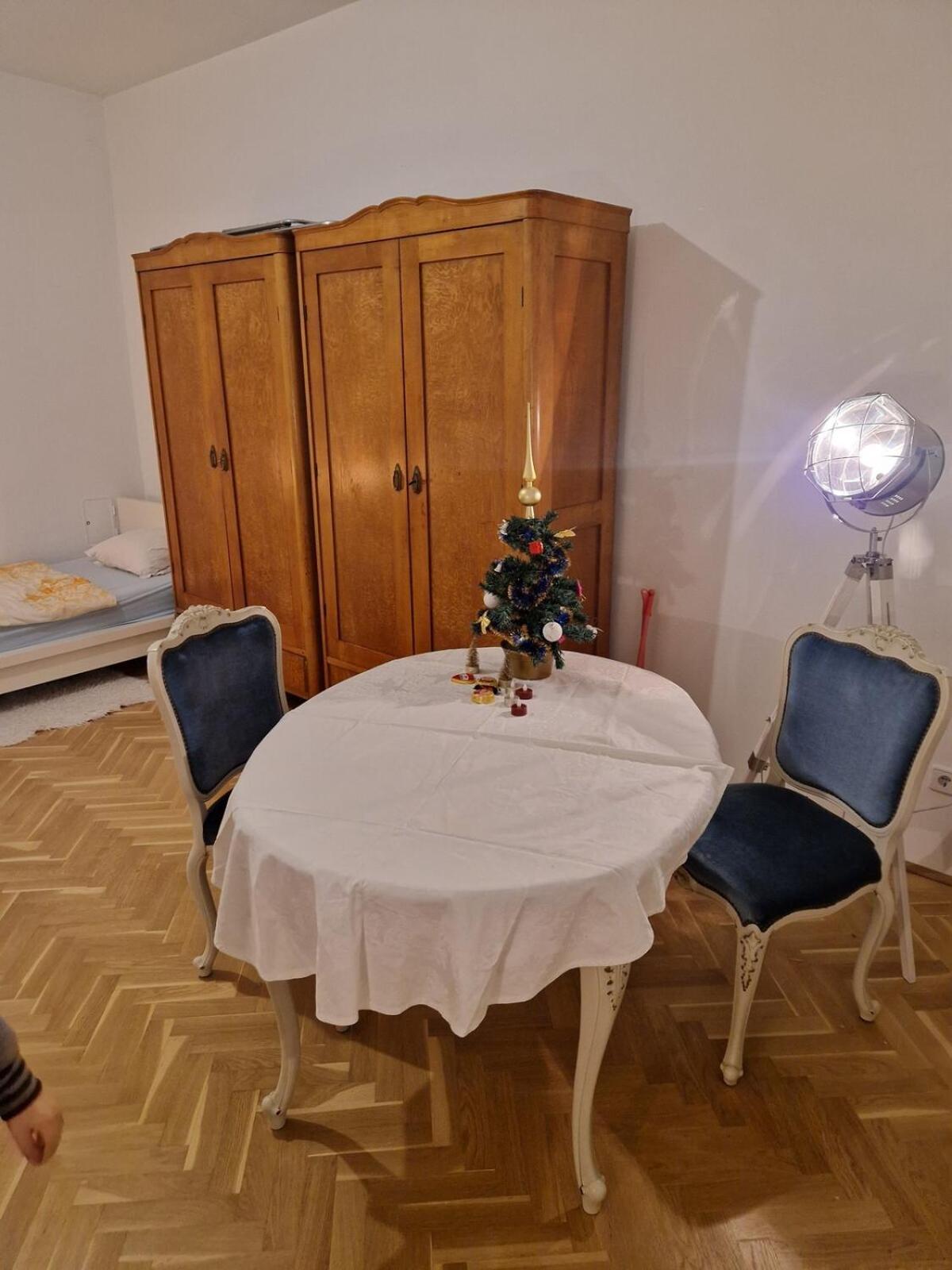 Beautiful Flat Overlooking A Great Park Apartment Vienna