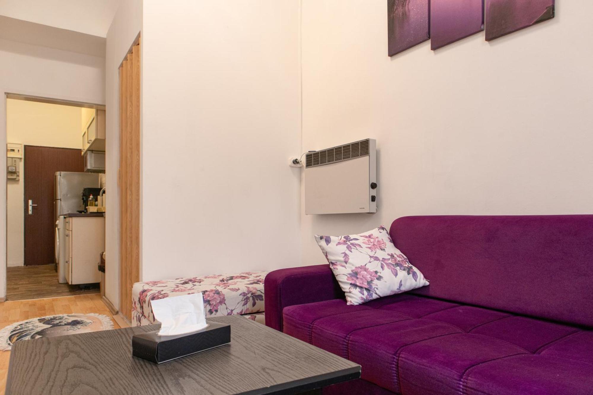 Homelike 2br Apt. @millenium Tower/danube River Apartment *