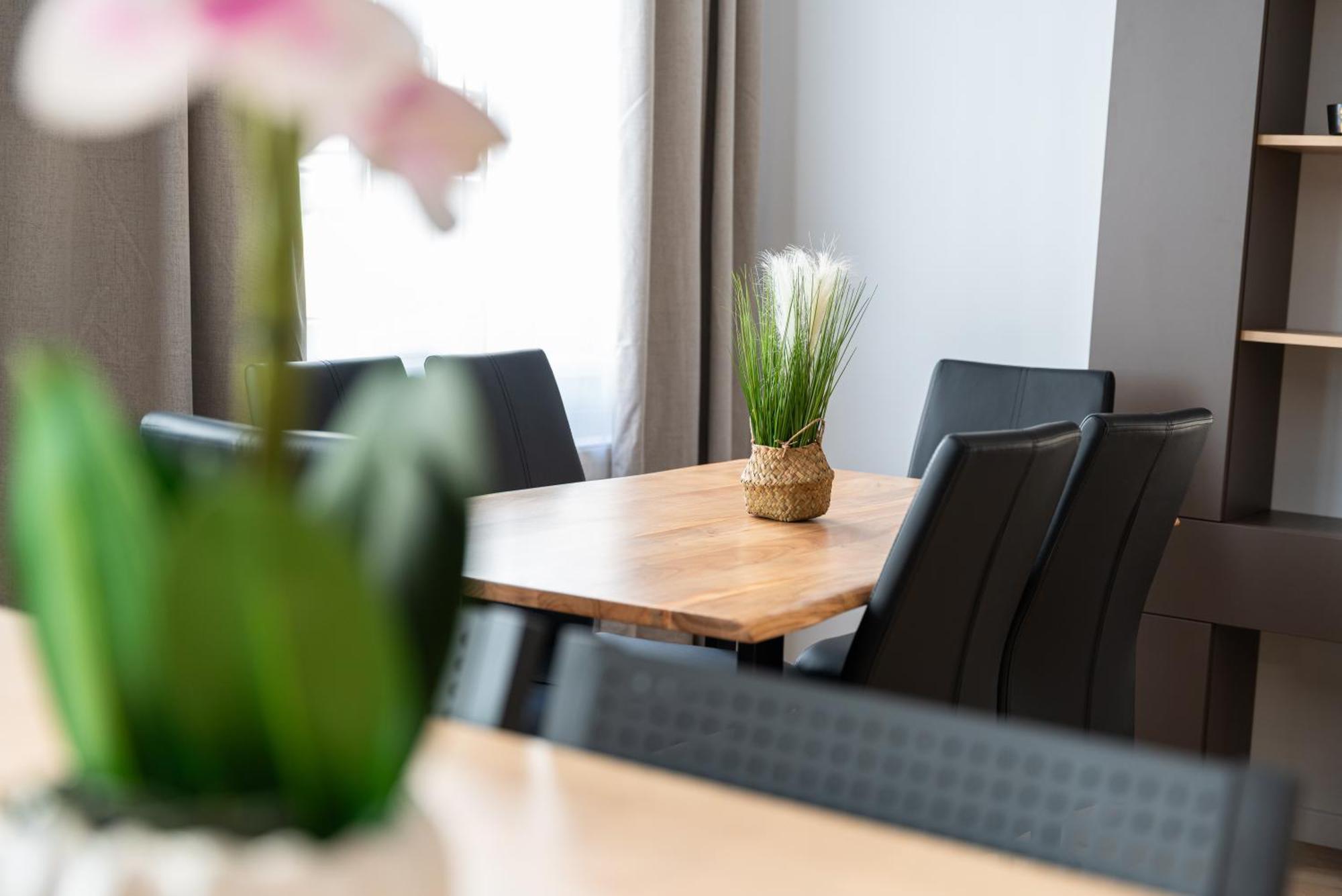 Apartamento Premium - Belvedere