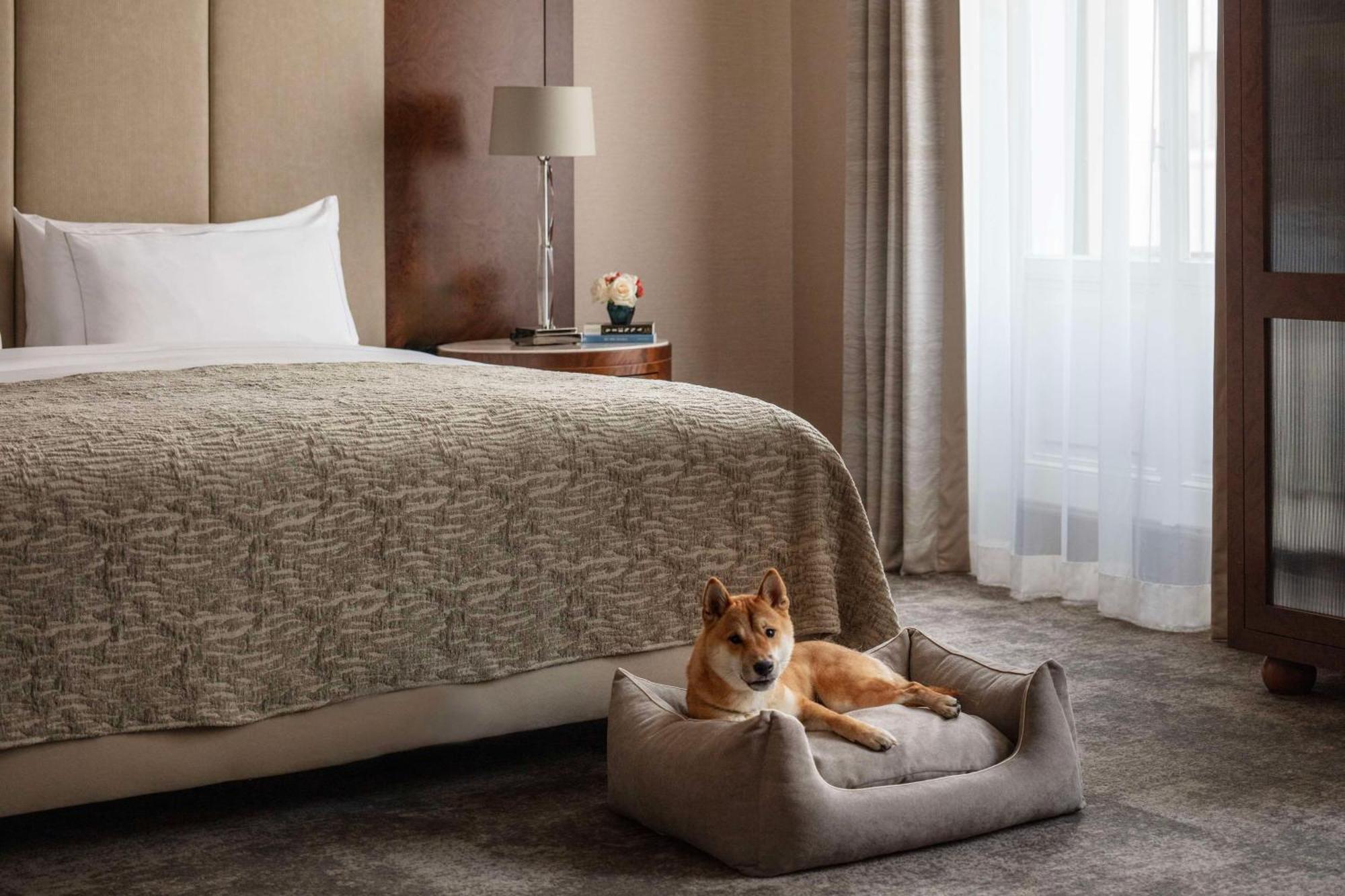 Anantara Palais Hansen - Newly Renovated 5* Vienna
