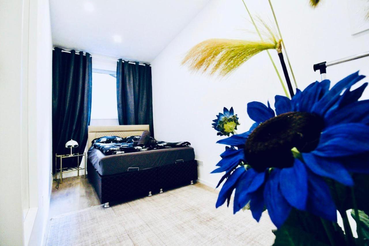 Spacious 2br 1lr 10 Min To St Stephen * Vienna
