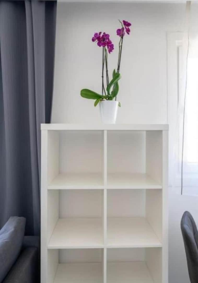 Charming Flat - Long-term