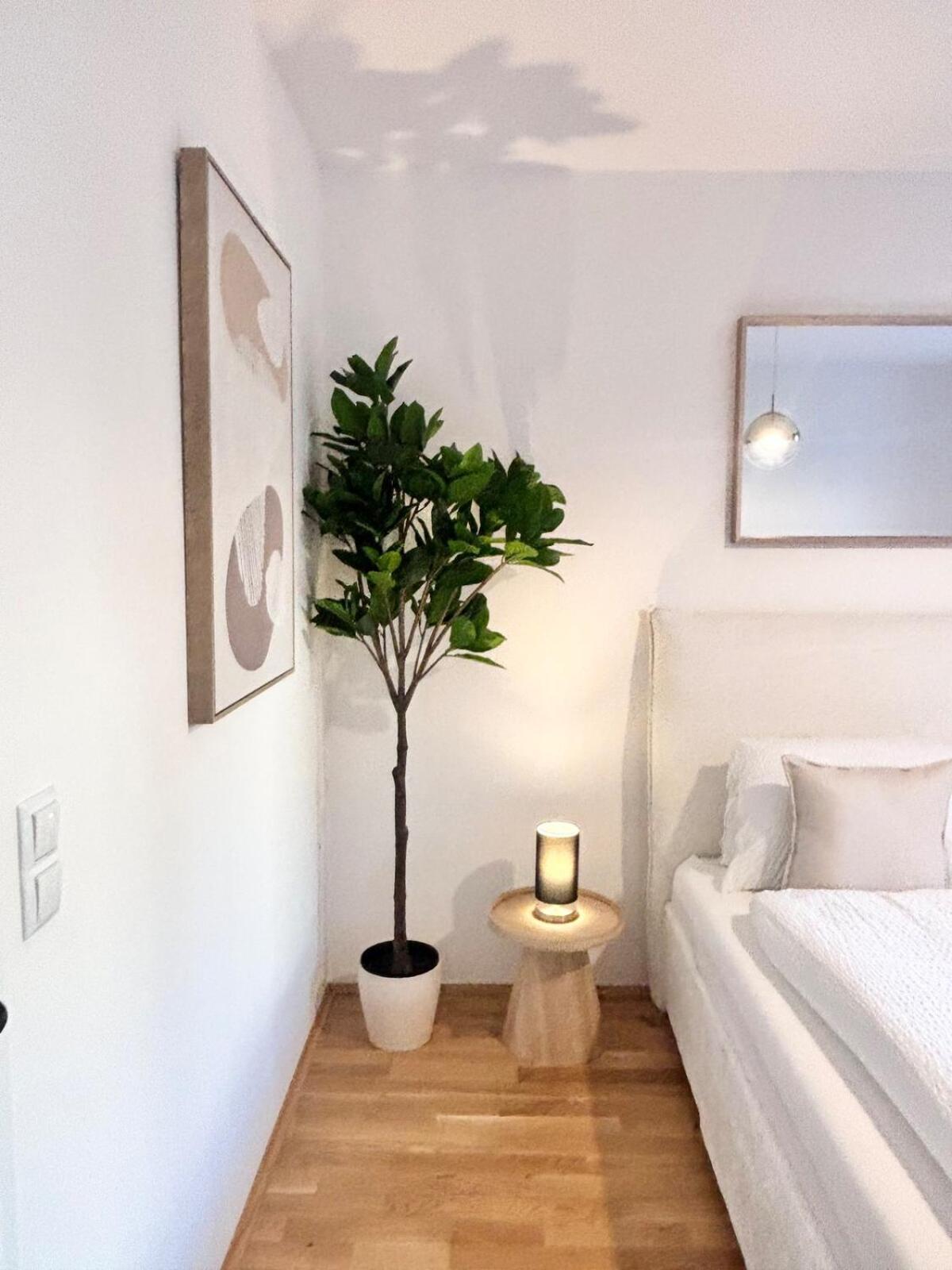 Aura Living 20