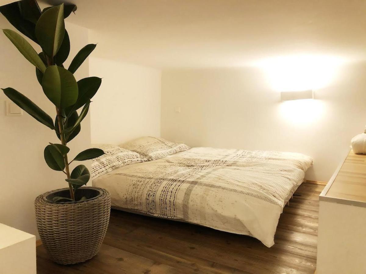 Lofty Garden Apartment