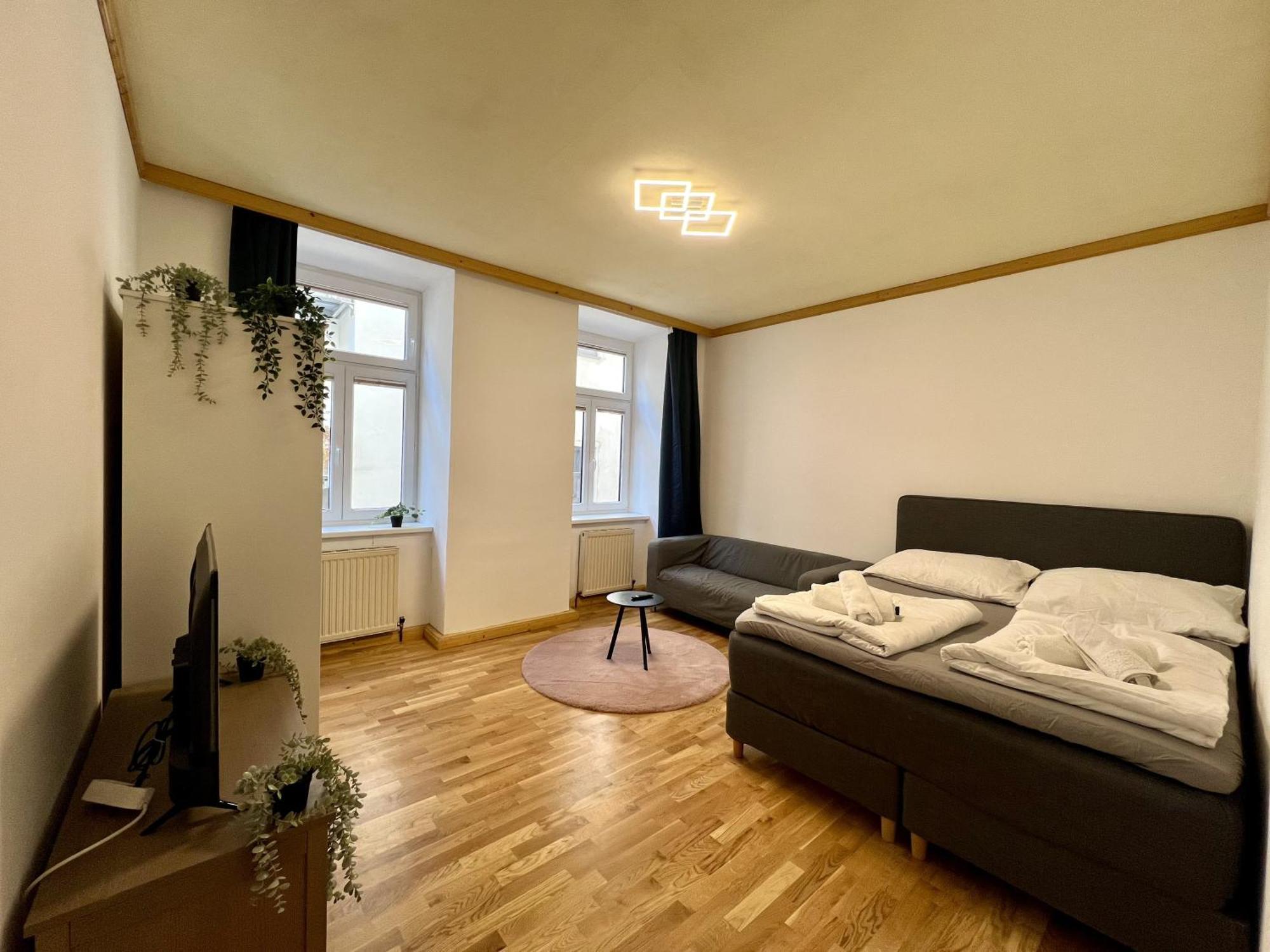 Big Space Apartment