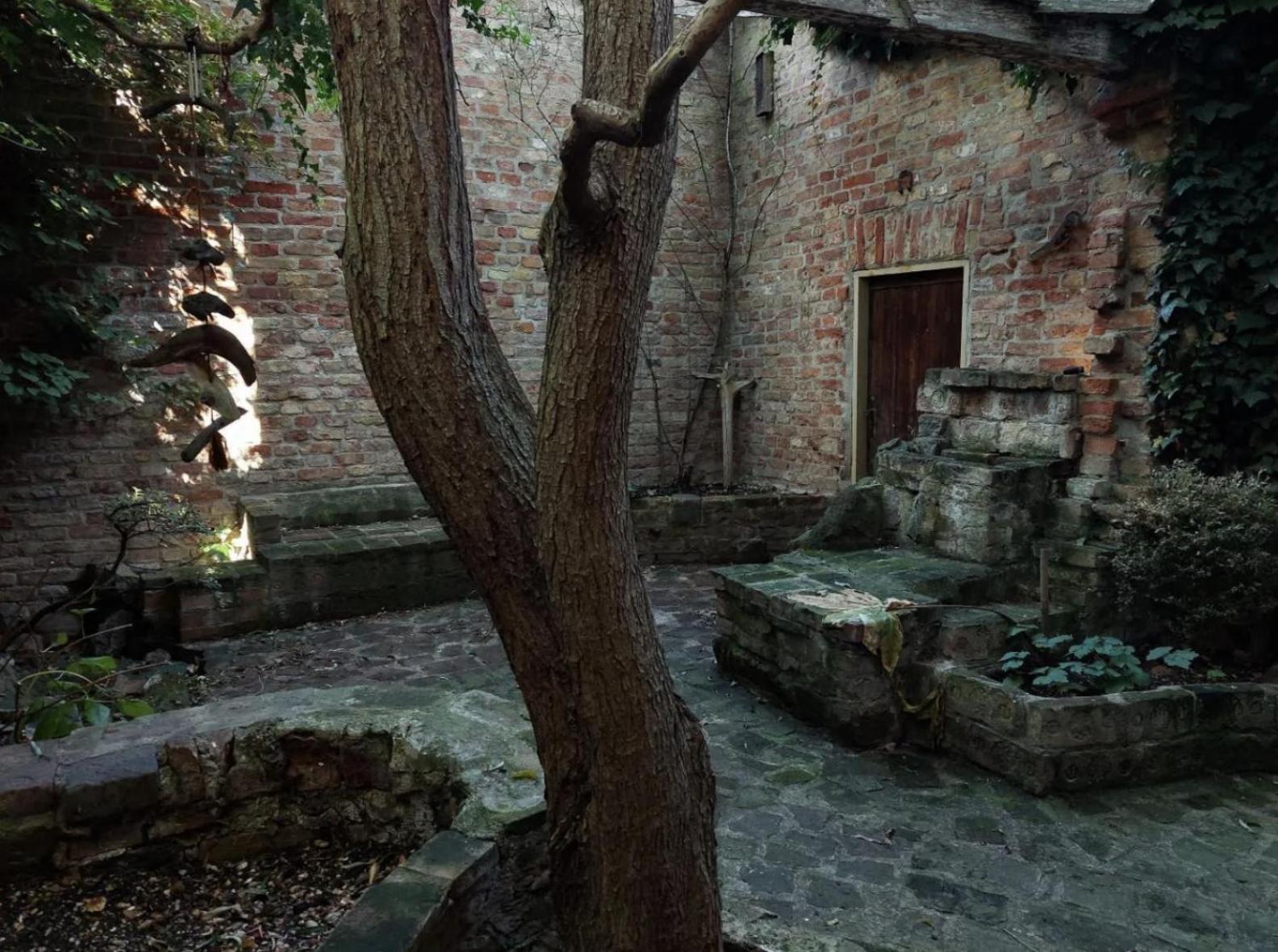Eden Schoenbrunn Garden Apartment *