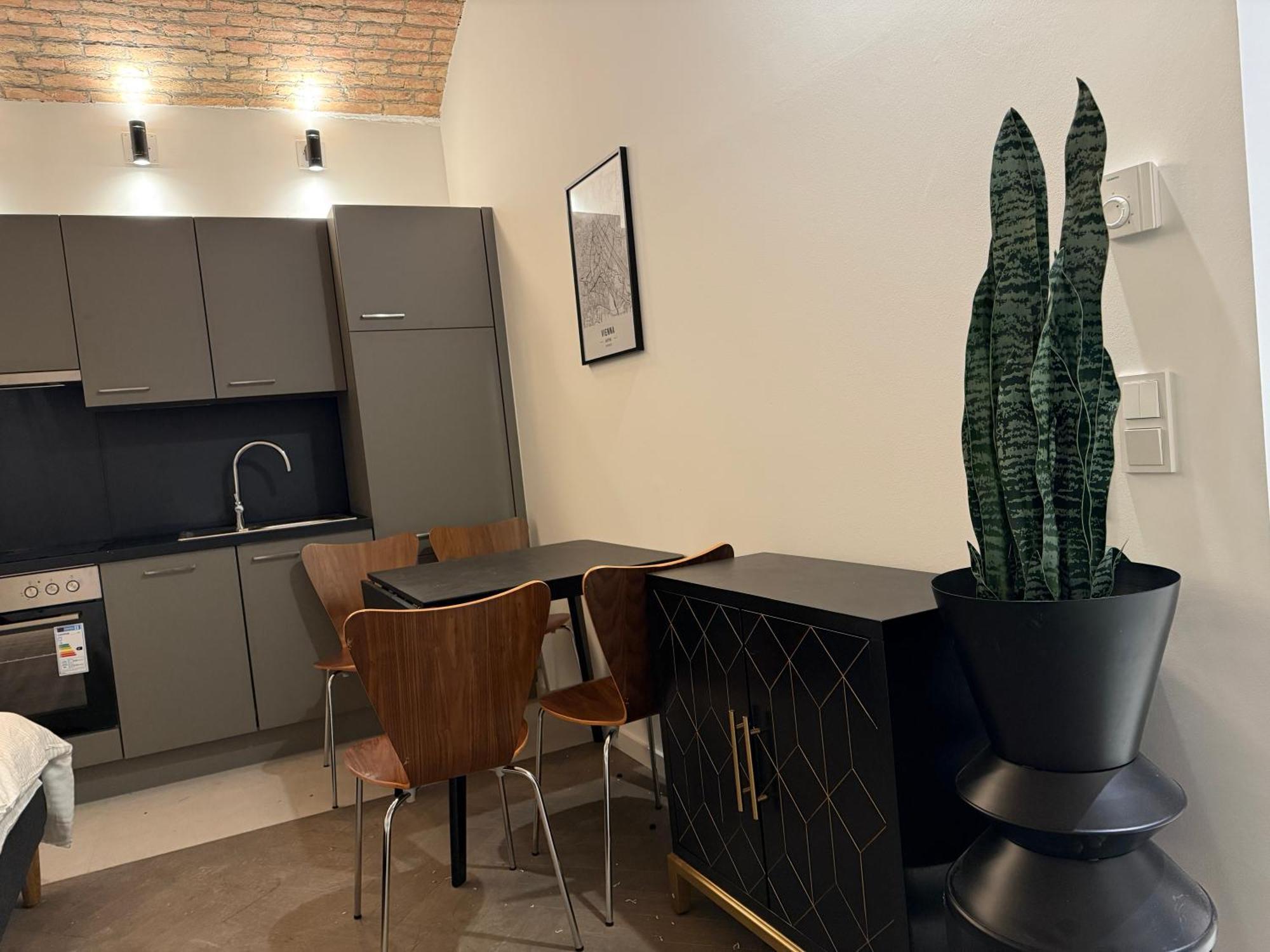 Renovated Apartment