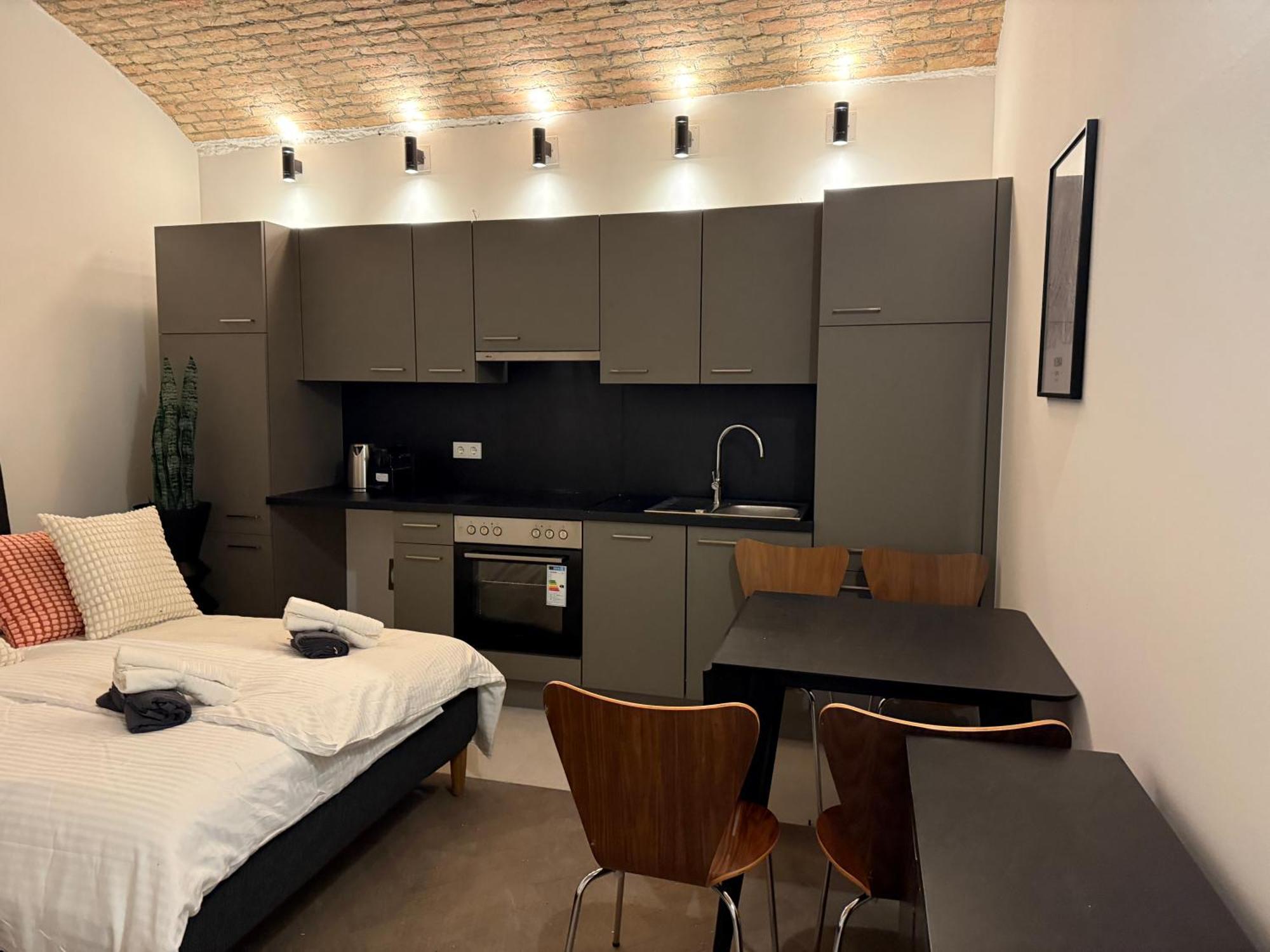 Apartment Renovated Vienna