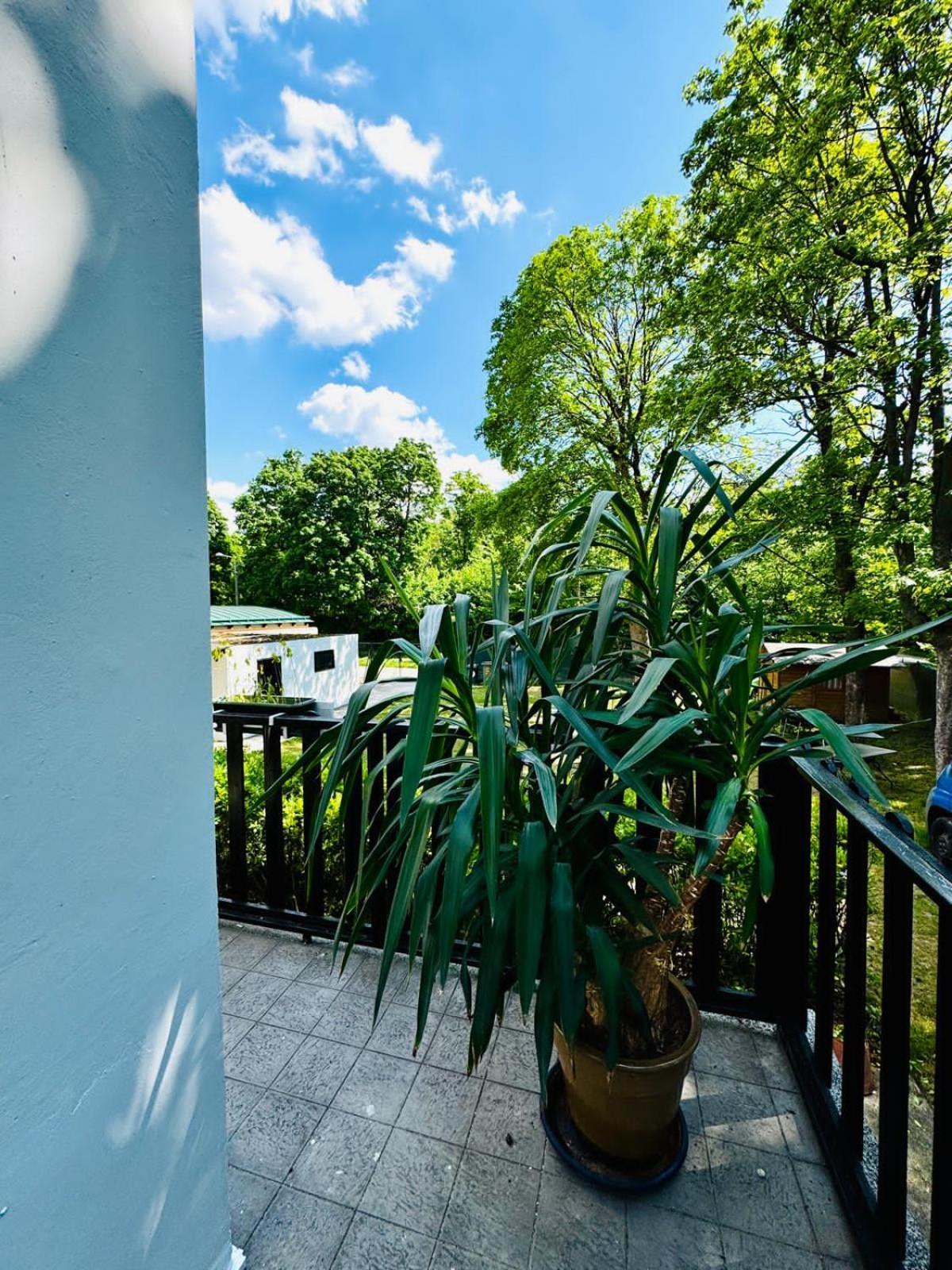 Spacious 6br Shared With Garden Near Danube For 16 Guests Wien
