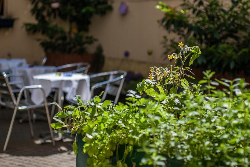 Boutiquehotel Donauwalzer 3*