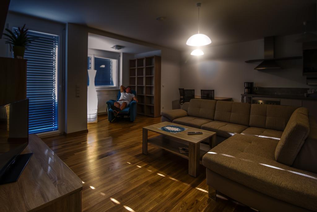 Potzmann Apartment Vienna