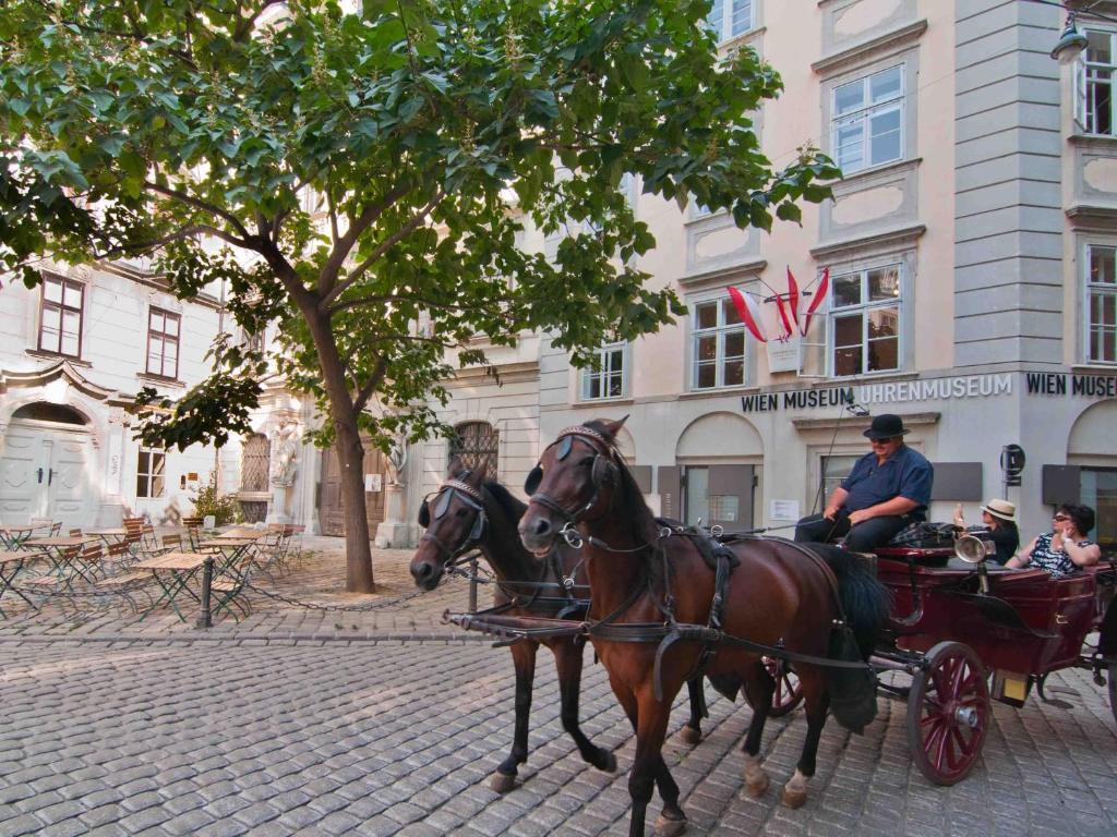 Elegant * Vienna