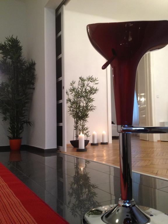 Apartment Design Schoenbrunn Vienna