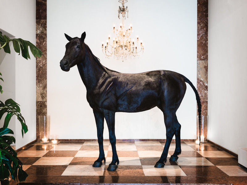 Hotel Grand Ferdinand - Your In The Center 5*