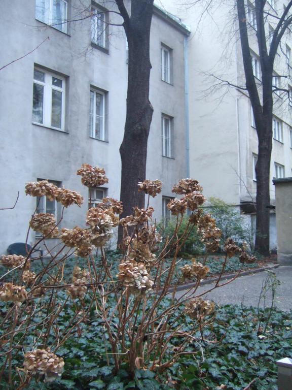 Apartment Top Comfort *