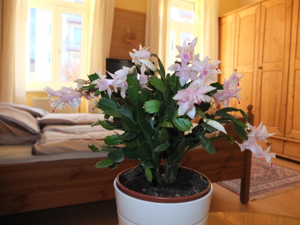 Aparthotel Leopoldauer 2*