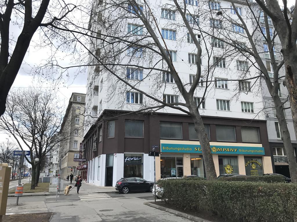 Domino Vienna