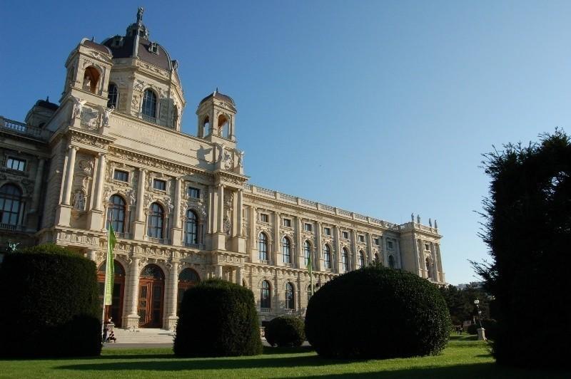 Reimer Viena