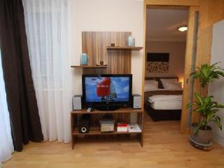 Vacha Vogtgasse Apartment Vienna