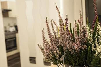 Hotel Urban Flats Danube 3*