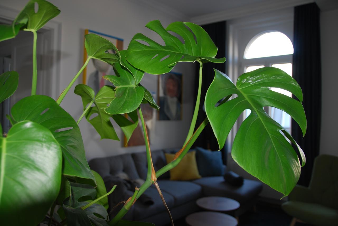 My In - Smart - Margareten Apartamento Viena