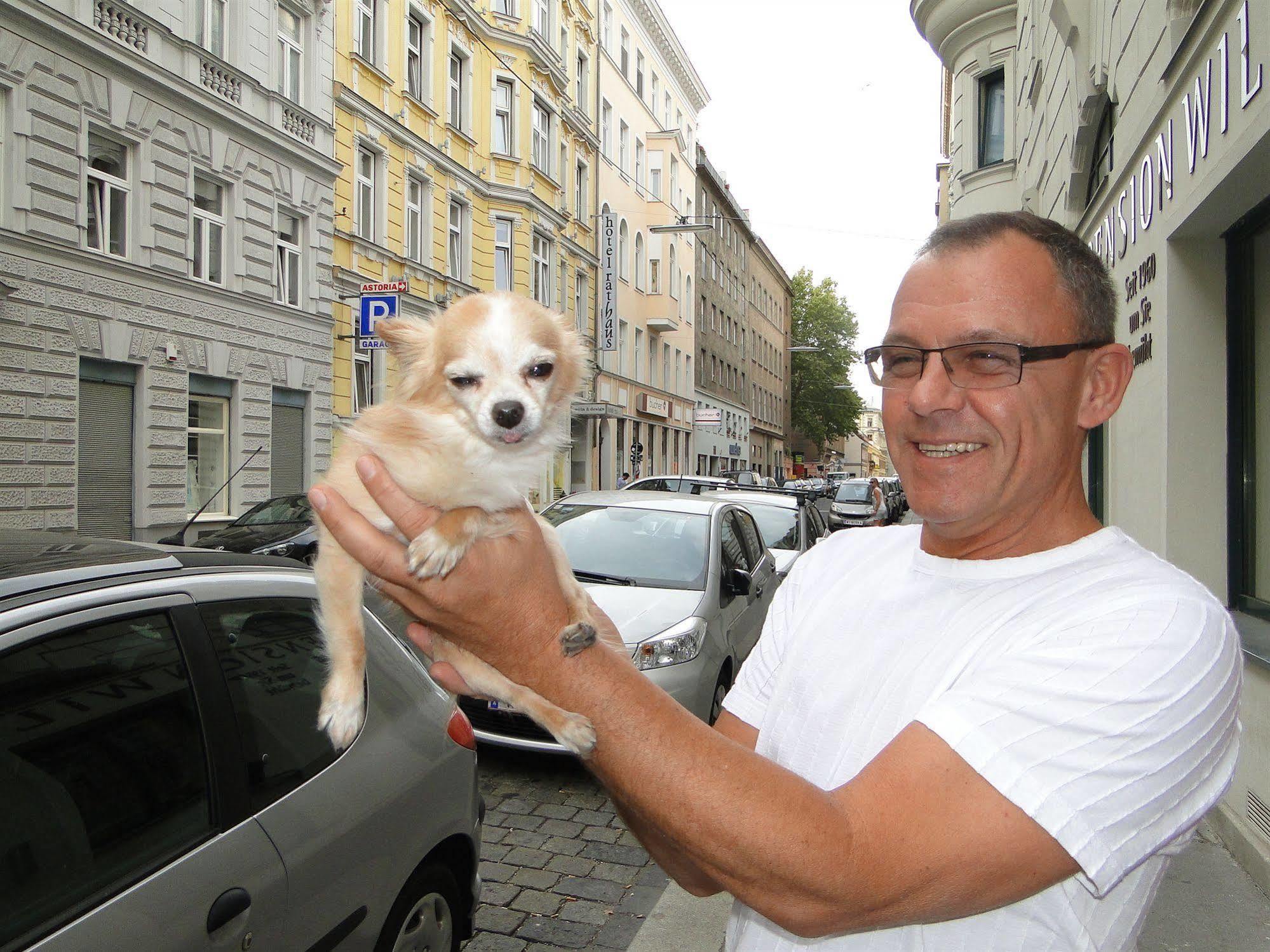 Hotel-pension Wild Vienna