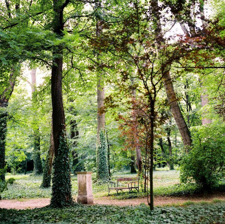 Kyriad Altmannsdorf Vienna