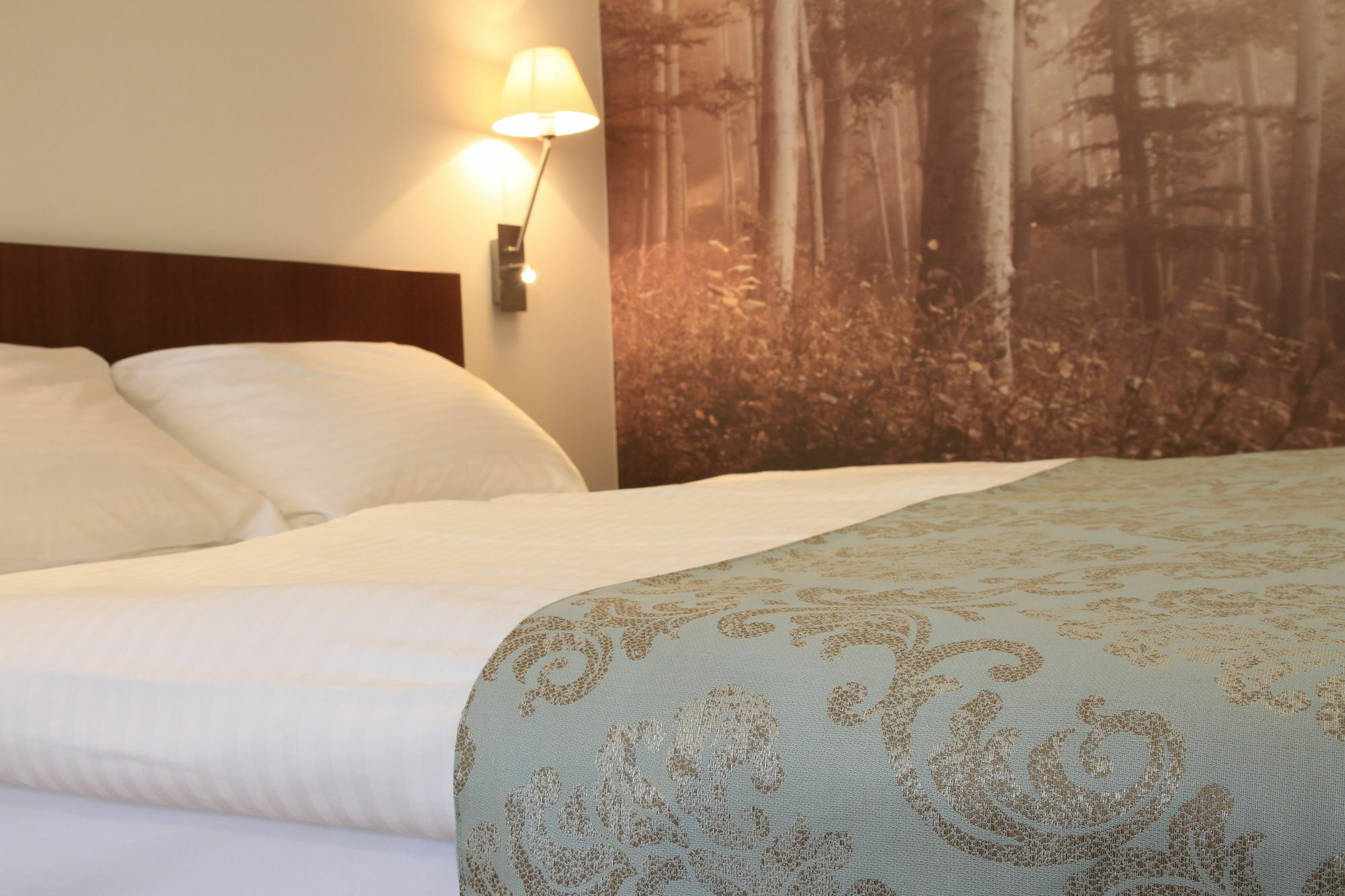 Benediktushaus Im Schottenstift Guest house