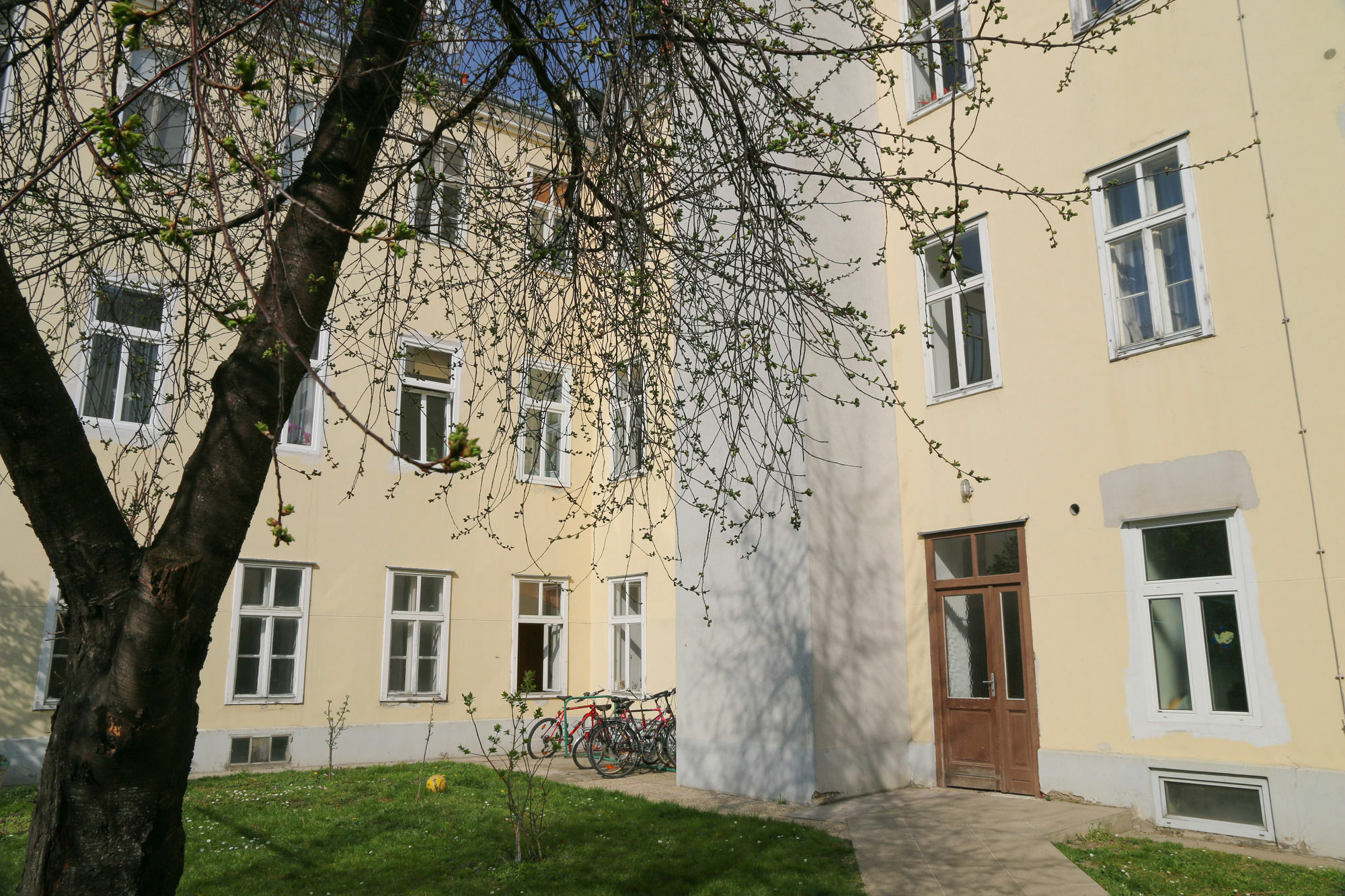 Cosy Dittmann Apartment